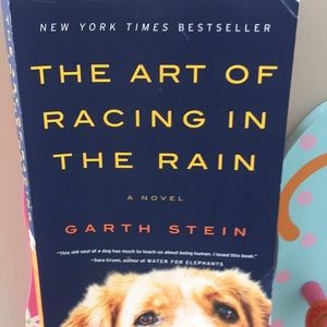 The art of racing in the rain